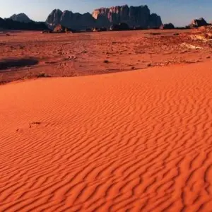 Explore Temples, Tombs, Treasury - 14 days for 14 days with On The Go Tours and discover unforgettable experiences - Photo 4