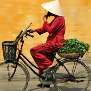 Explore Journey to Angkor Wat & Bangkok - 17 days for 17 days with On The Go Tours and discover unforgettable experiences - Photo 11