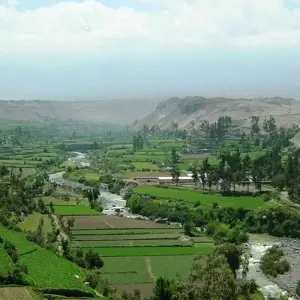 Explore 5 days - Arequipa & Colca Canyon & Sillar Stone for 5 days with PVTravels and discover unforgettable experiences - Photo 3