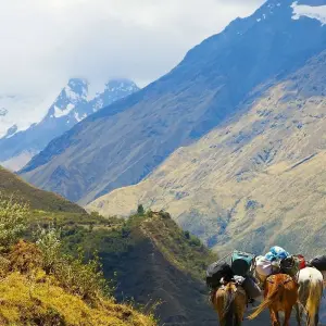 Explore 5 days - Salkantay Trek to Machu Picchu for 5 days with PVTravels and discover unforgettable experiences - Photo 2