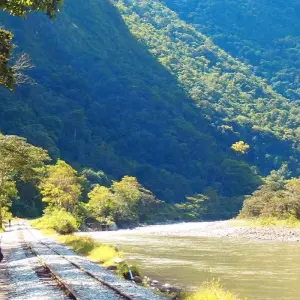 Explore 4 days Inca Jungle trek to Machu Picchu for 4 days with PVTravels and discover unforgettable experiences - Photo 4