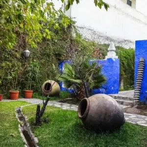 Explore 5 days - Arequipa & Colca Canyon & Sillar Stone for 5 days with PVTravels and discover unforgettable experiences - Photo 7