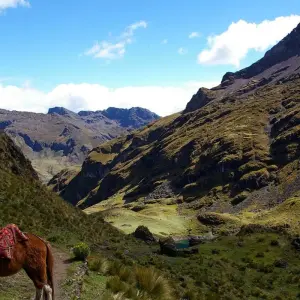 Explore Lares Trek to Machu Picchu 4D/3N for 4 days with PVTravels and discover unforgettable experiences - Photo 8