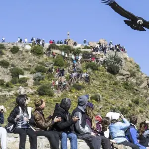 Explore 10 days Peru Southeast to Mountain: Lima, Paracas, Nazca, Arequipa, Cusco for 10 days with PVTravels and discover unforgettable experiences - Photo 7