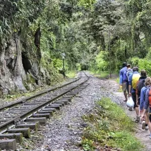 Explore 4 days Inca Jungle trek to Machu Picchu for 4 days with PVTravels and discover unforgettable experiences - Photo 10