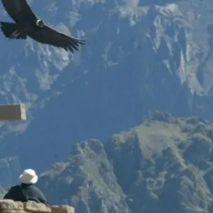 Explore Full day Colca Canyon Tour from Arequipa for 1 days with PVTravels and discover unforgettable experiences - Photo 10