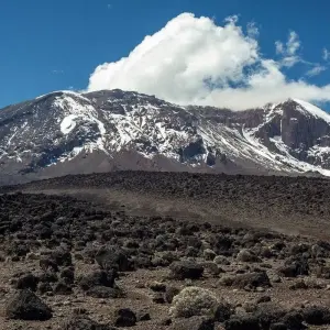 Explore 7 Days Mount Kilimanjaro Climb  - Machame Route for 7 days with Pam Tours and Travel  and discover unforgettable experiences - Photo 4