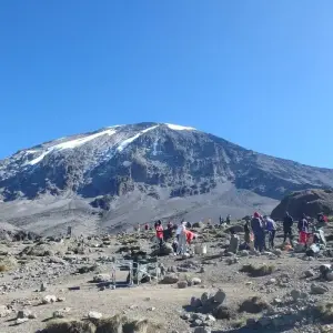 Explore 7 Days Mount Kilimanjaro Climb  - Machame Route for 7 days with Pam Tours and Travel  and discover unforgettable experiences - Photo 6