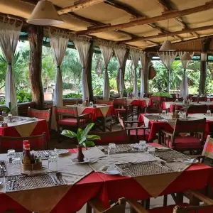 Explore 7 Days Kenya  Budget Camps  Safari for 7 days with Pam Tours and Travel  and discover unforgettable experiences - Photo 6