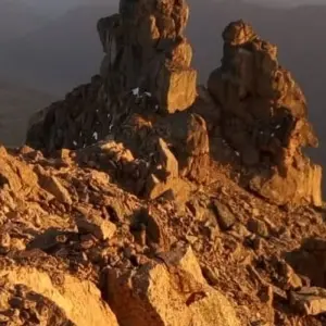 Explore 5 Days Mount Kenya Safari Trekking in Sirimon Route for 5 days with Pam Tours and Travel  and discover unforgettable experiences - Photo 4