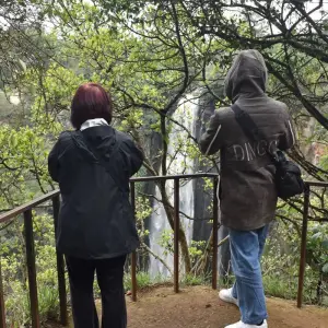 Explore 6 Days Kenya and Tanzania Exclusive  Migration Safari for 6 days with Pam Tours and Travel  and discover unforgettable experiences - Photo 6