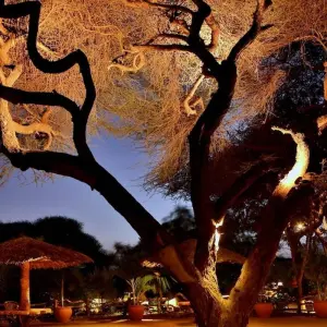 Explore 7 Days Kenya  Budget Camps  Safari for 7 days with Pam Tours and Travel  and discover unforgettable experiences - Photo 8