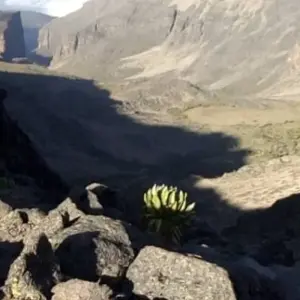 Explore 5 Days Mount Kenya Safari Trekking in Sirimon Route for 5 days with Pam Tours and Travel  and discover unforgettable experiences - Photo 6