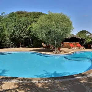 Explore 7 Days Kenya  Budget Camps  Safari for 7 days with Pam Tours and Travel  and discover unforgettable experiences - Photo 9