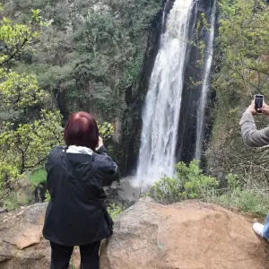 Explore 6 Days Kenya and Tanzania Exclusive  Migration Safari for 6 days with Pam Tours and Travel  and discover unforgettable experiences - Photo 11