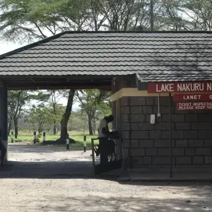 Explore 12 Day Best of Kenya and Tanzania Circuit Midrange  Safari 4x4  Jeep for 12 days with Pam Tours and Travel  and discover unforgettable experiences - Photo 10