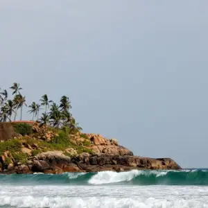 Explore Luxury Backwaters of Kerala Tour with Exotic Beaches for 7 days with Panda Experiences and discover unforgettable experiences - Photo 4