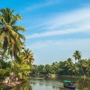 Explore Luxury Backwaters of Kerala Tour with Exotic Beaches for 7 days with Panda Experiences and discover unforgettable experiences - Photo 5