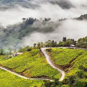 Explore The Queen of the Hills - Darjeeling Tour for 7 days with Panda Experiences and discover unforgettable experiences - Photo 3