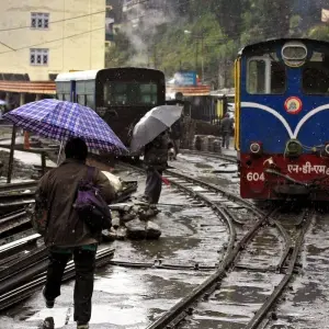 Explore The Queen of the Hills - Darjeeling Tour for 7 days with Panda Experiences and discover unforgettable experiences - Photo 4