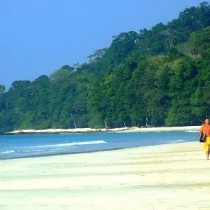 Explore 8 Days Andaman & Nicobar Islands Tour for 8 days with Panda Experiences and discover unforgettable experiences - Photo 4