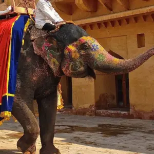 Explore The Golden Triangle India Tour for 7 days with Panda Experiences and discover unforgettable experiences - Photo 3