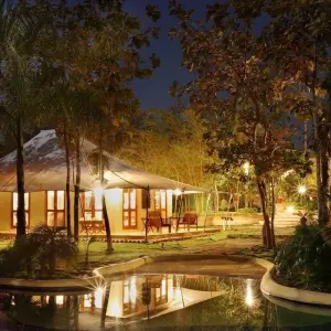 Explore Trip to Madhya Pradesh Wildlife Safari for 8 days with Panda Experiences and discover unforgettable experiences - Photo 5