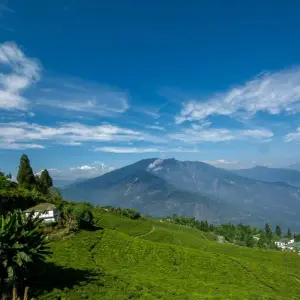 Explore The Queen of the Hills - Darjeeling Tour for 7 days with Panda Experiences and discover unforgettable experiences - Photo 5