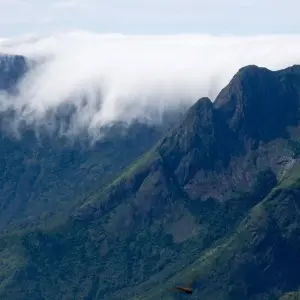 Explore Backwaters & Wildlife Tour - Kerala for 8 days with Panda Experiences and discover unforgettable experiences - Photo 4