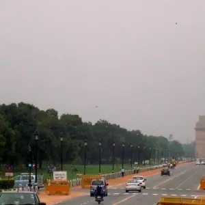 Explore 7 Day Bandhavgarh Wildlife Tour for 7 days with Panda Experiences and discover unforgettable experiences - Photo 4