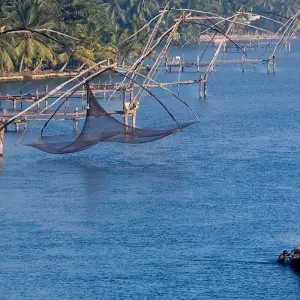 Explore Ayurvedic and Holistic Vacations Tour for 12 days with Panda Experiences and discover unforgettable experiences - Photo 6