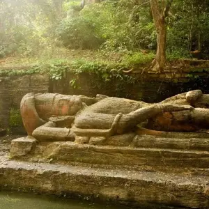 Explore Trip to Madhya Pradesh Wildlife Safari for 8 days with Panda Experiences and discover unforgettable experiences - Photo 7