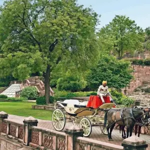 Explore Best of Rajasthan Tour for 14 days with Panda Experiences and discover unforgettable experiences - Photo 5