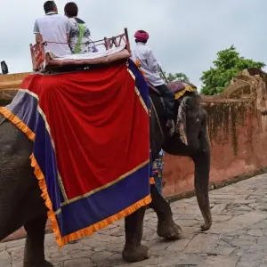 Explore Taj Mahal Tour With Udaipur for 9 days with Panda Experiences and discover unforgettable experiences - Photo 6