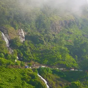 Explore Backwaters & Wildlife Tour - Kerala for 8 days with Panda Experiences and discover unforgettable experiences - Photo 8