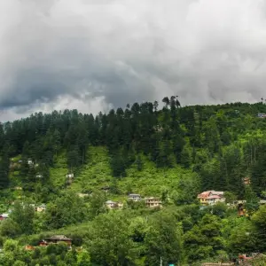 Explore Golden Triangle Tour with Shimla & Manali for 11 days with Panda Experiences and discover unforgettable experiences - Photo 2