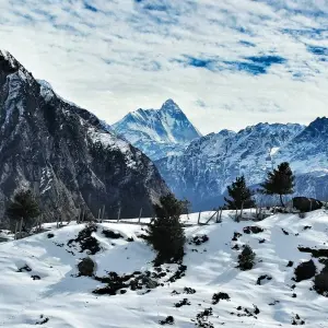 Explore Golden Triangle Tour with Ranthambore for 9 days with Panda Experiences and discover unforgettable experiences - Photo 3