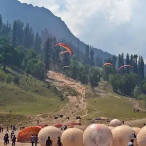 Explore Golden Triangle Tour with Shimla & Manali for 11 days with Panda Experiences and discover unforgettable experiences - Photo 3