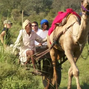 Explore Best of Rajasthan Tour for 14 days with Panda Experiences and discover unforgettable experiences - Photo 9