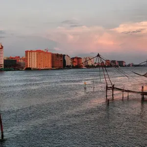 Explore Backwaters & Wildlife Tour - Kerala for 8 days with Panda Experiences and discover unforgettable experiences - Photo 10