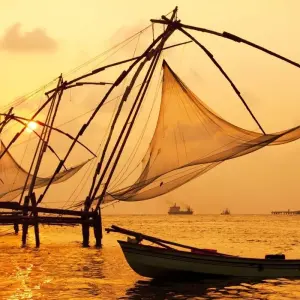 Explore Backwaters & Wildlife Tour - Kerala for 8 days with Panda Experiences and discover unforgettable experiences - Photo 11