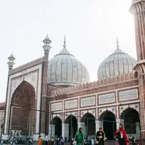 Explore 10 Days Wildlife Tour With Jaipur for 10 days with Panda Experiences and discover unforgettable experiences - Photo 3