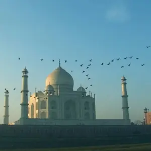 Explore Golden Triangle Tour With Ajmer for 8 days with Panda Experiences and discover unforgettable experiences - Photo 7