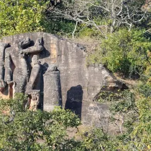 Explore India Tiger Photography Tour for 12 days with Panda Experiences and discover unforgettable experiences - Photo 3