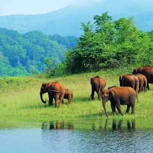 Explore Kerala Backwater Tour With Exotic Beaches for 7 days with Panda Experiences and discover unforgettable experiences - Photo 4