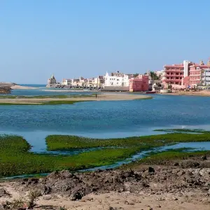 Explore Sasan Gir with Somnath Dwarka Tour for 7 days with Panda Experiences and discover unforgettable experiences - Photo 5