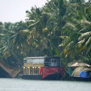 Explore Kerala Backwater Tour With Exotic Beaches for 7 days with Panda Experiences and discover unforgettable experiences - Photo 5