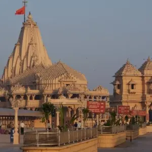 Explore Sasan Gir with Somnath Dwarka Tour for 7 days with Panda Experiences and discover unforgettable experiences - Photo 6