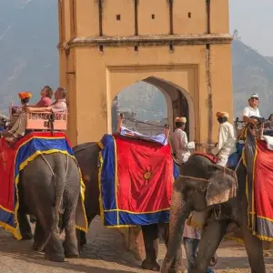 Explore India, Nepal and Bhutan Tour for 22 days with Panda Experiences and discover unforgettable experiences - Photo 9