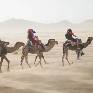 Explore Iconic Rajasthan for 9 days with Panda Experiences and discover unforgettable experiences - Photo 6